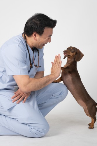 Thonglor Pet Hospital Asoke - Prasarnmit