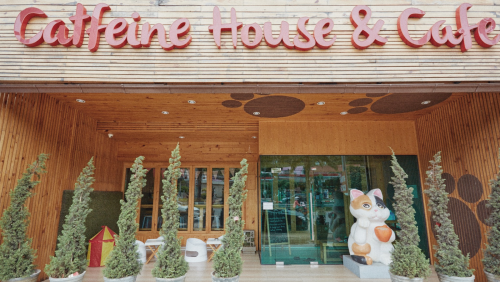 Catfeine House Cafe