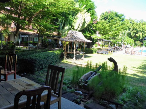 Cen Café Pet-Friendly