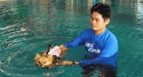 Muang Ake Pet Hospital Pattaya 24 Hrs