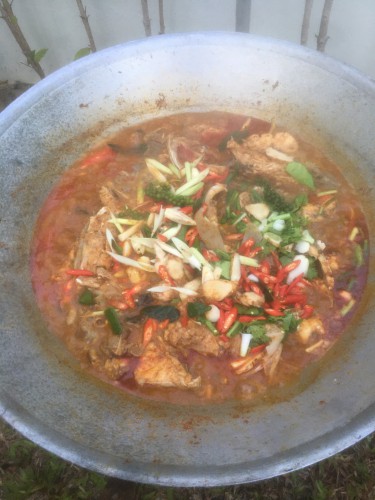 Sattahip Sai Pa Betta Fish Shop