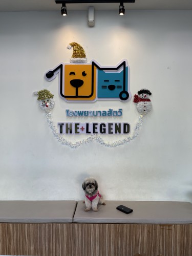 The Legend Animal Hospital