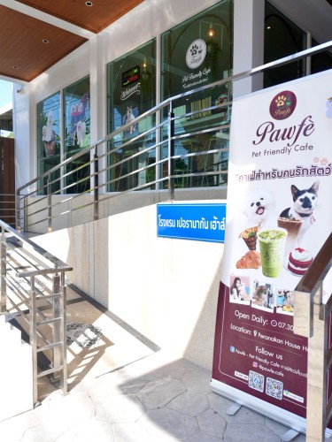 Pawf - Pet Friendly Cafe Phuket
