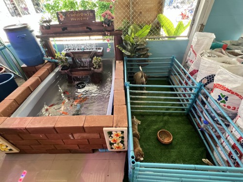 Prachuap Khiri Khan Pet House