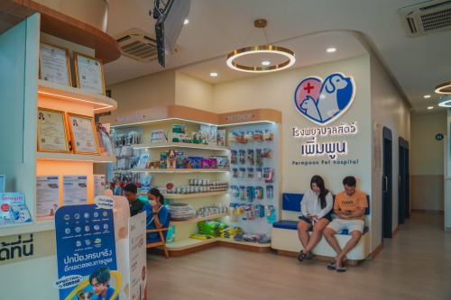 Animal Hospital Rayong Animal Treatment Center Closed at 10 00 p m Taking care of sick animals in 24 hours