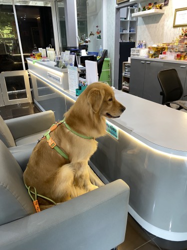 Dr Watt Animal Hospital Rayong