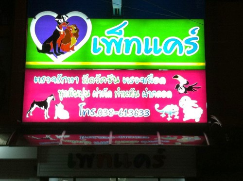 Pet Care Clinic Animal Treatment
