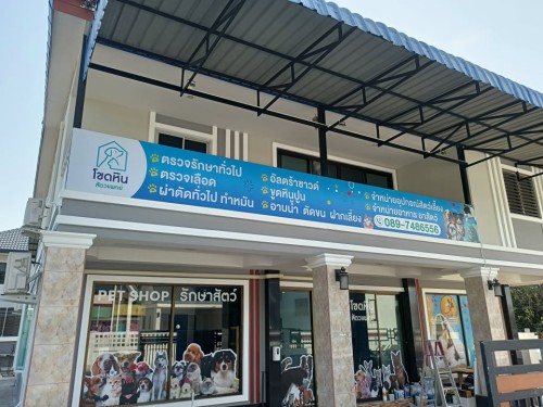 Veterinary Rock Clinic