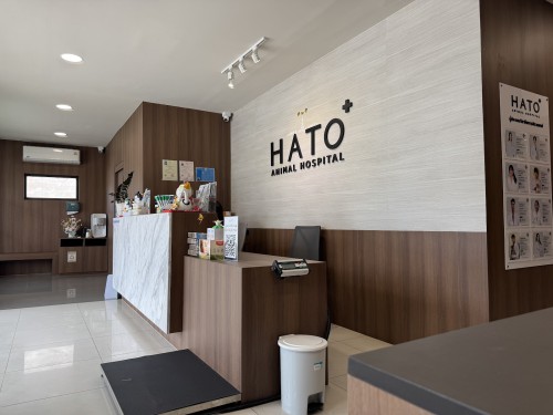 Hato Animal Hospital Theparak