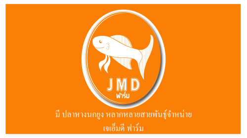 JMD Farm Guppy Fish