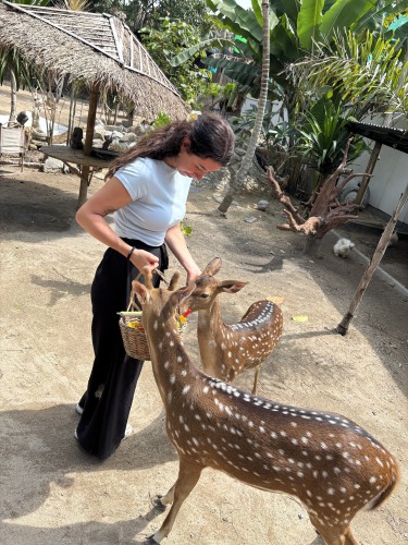 Samui exotic park